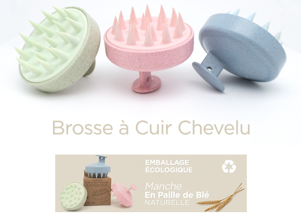 Brosse de massage du cuir chevelu