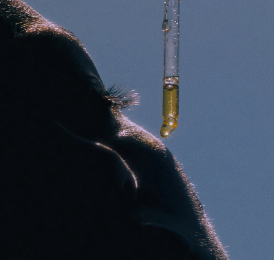 Kazemi - Yalda Face Oil